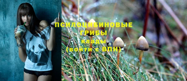 эйфоретик Бронницы