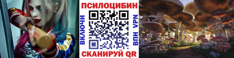 Галлюциногенные грибы MAGIC MUSHROOMS  Купить закладки  Светлогорск 