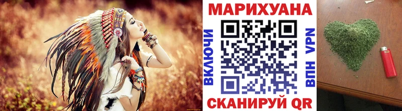 Купить закладки  Светлогорск  Конопля семена 